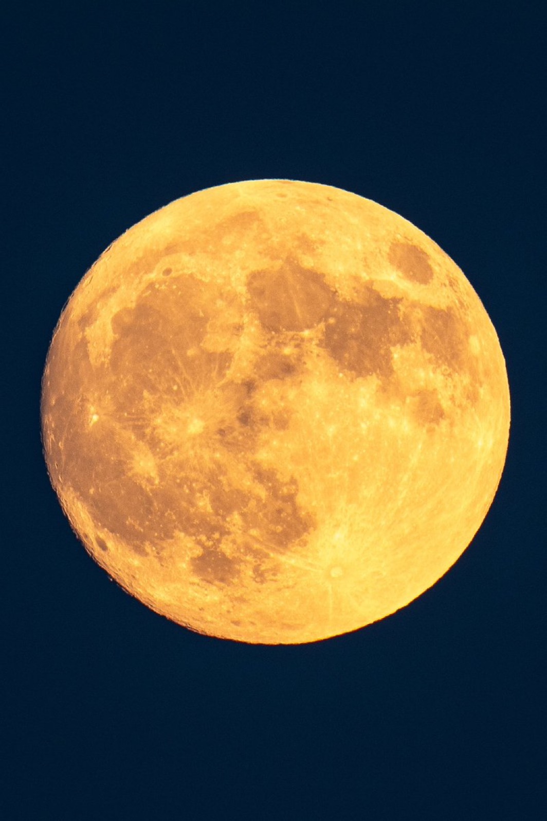 🌕満月🌕の画像