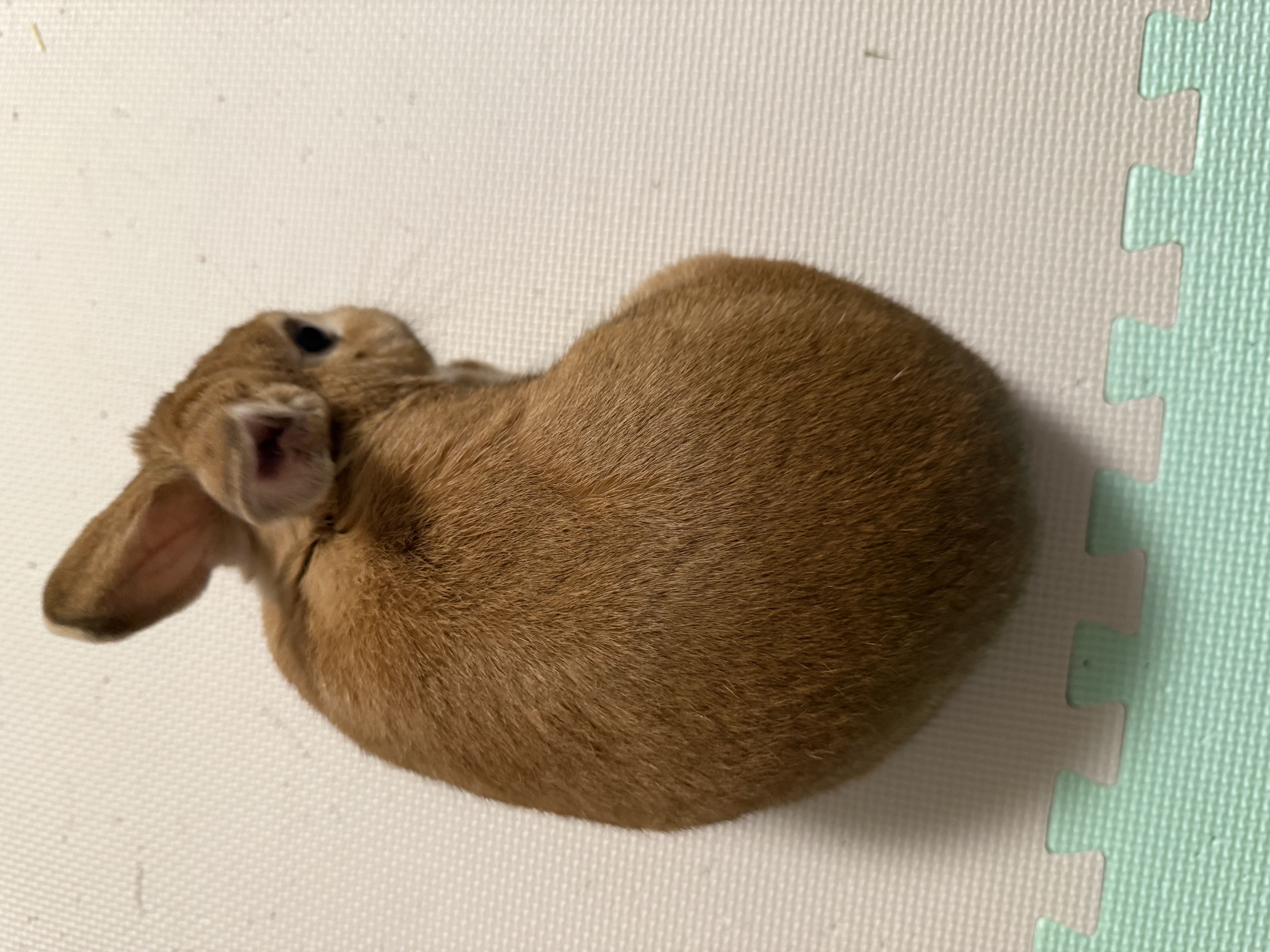その他の写真