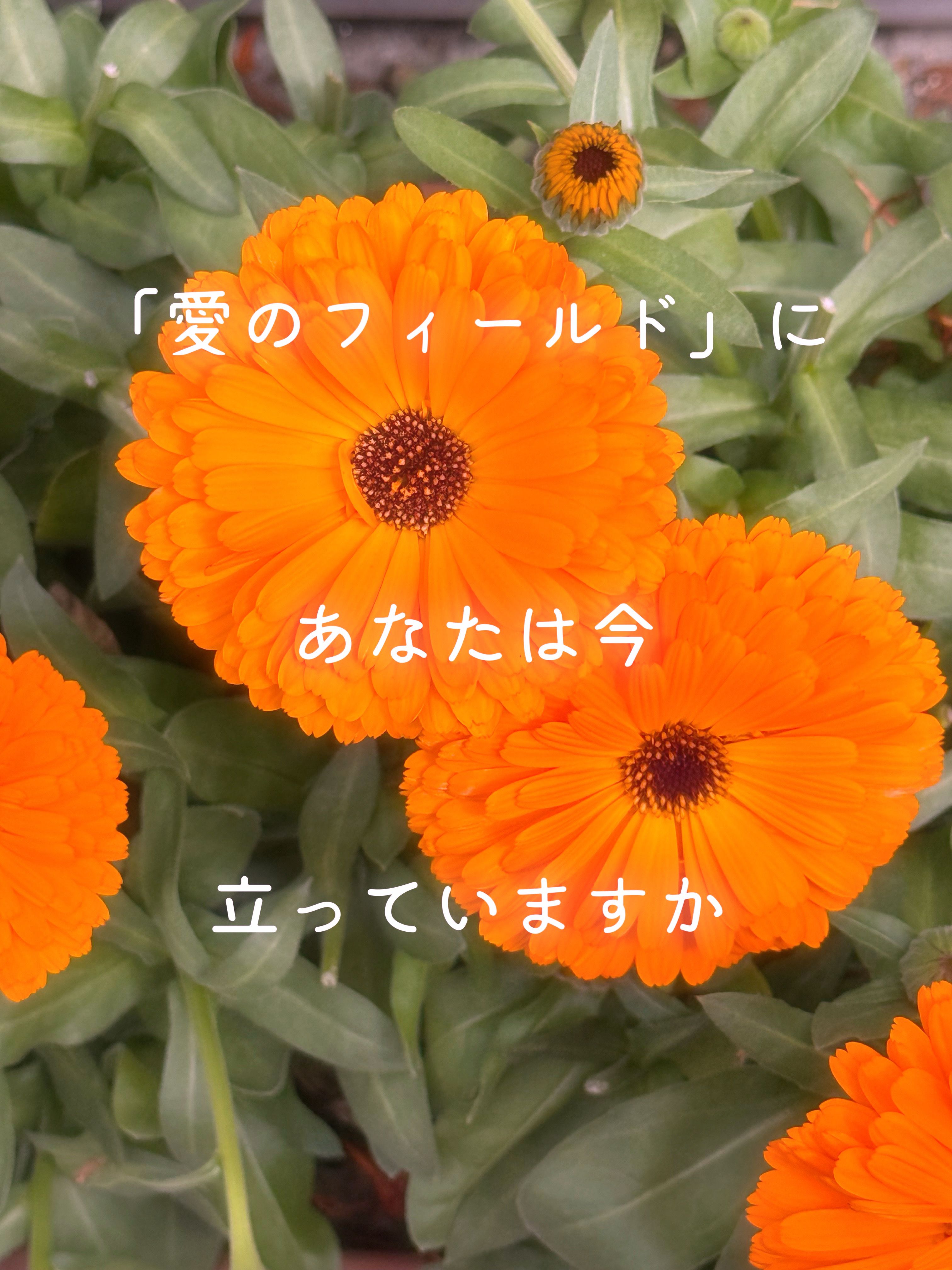 その他の写真