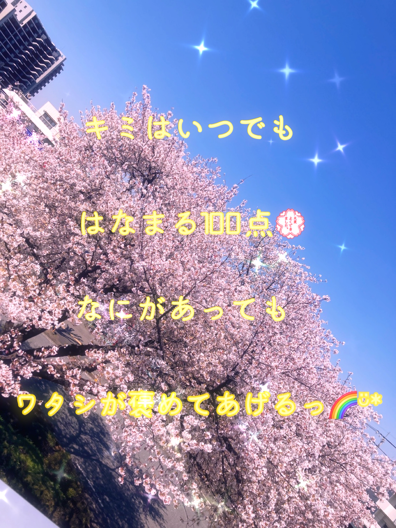 その他の写真