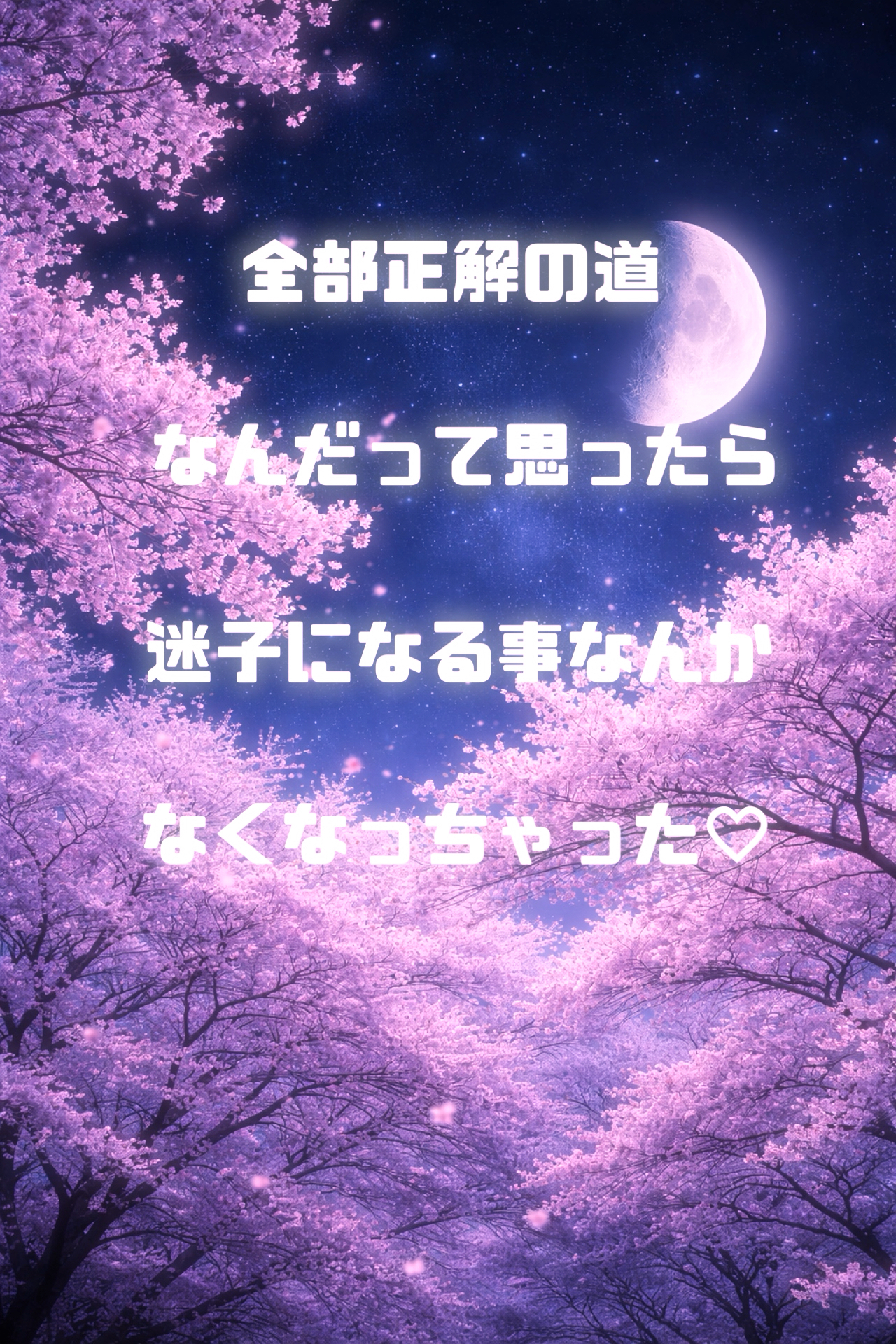 その他の写真