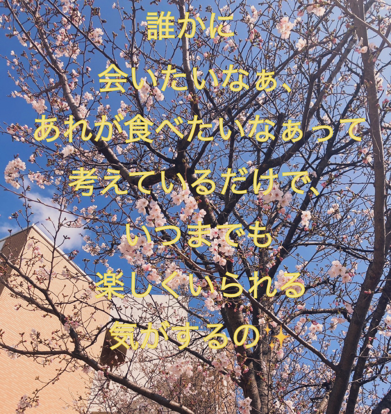 その他の写真